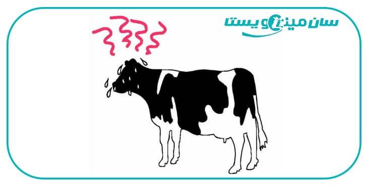 راهکارهای جلوگیری از استرس گرمایی در گاوهای شیری