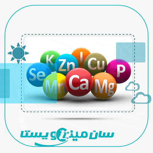 مکمل های معدنی برای گاوهای شیری