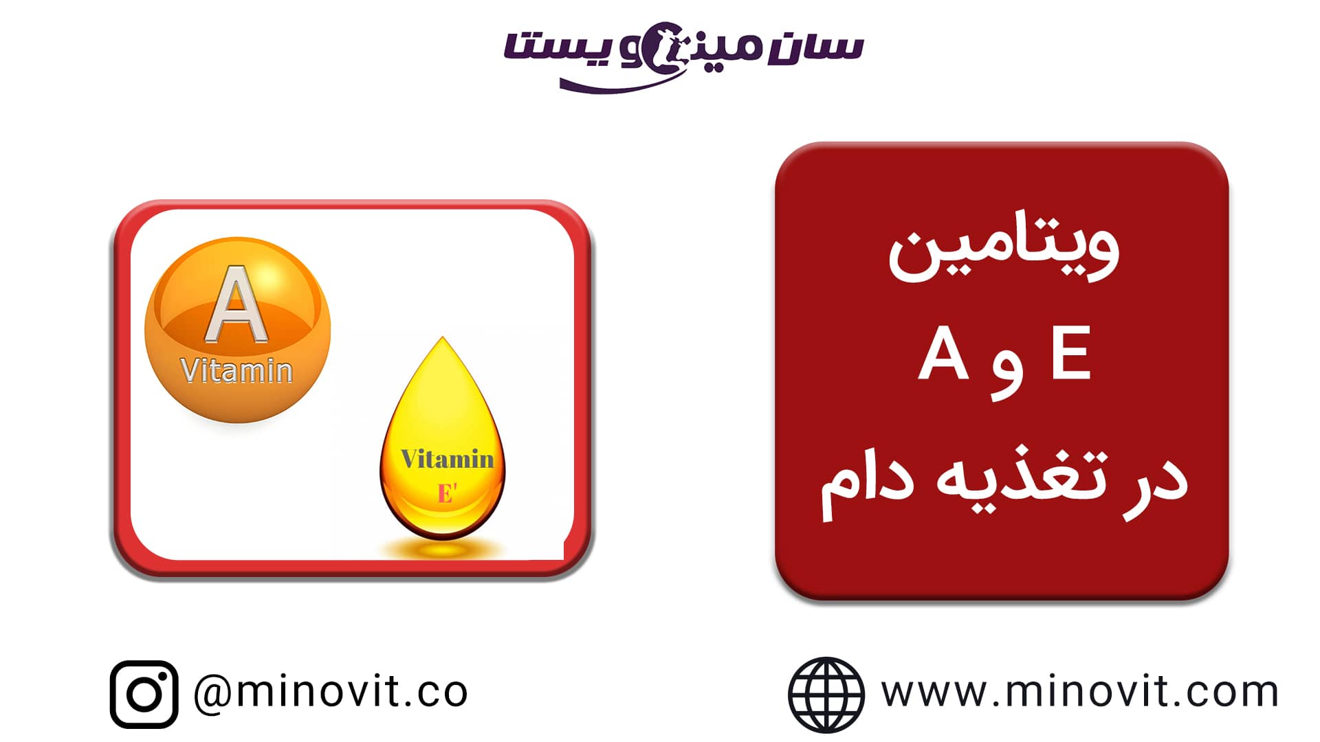ویتامین A و E در تغذیه دام