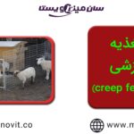 تغذیه خزشی در گوسفندان