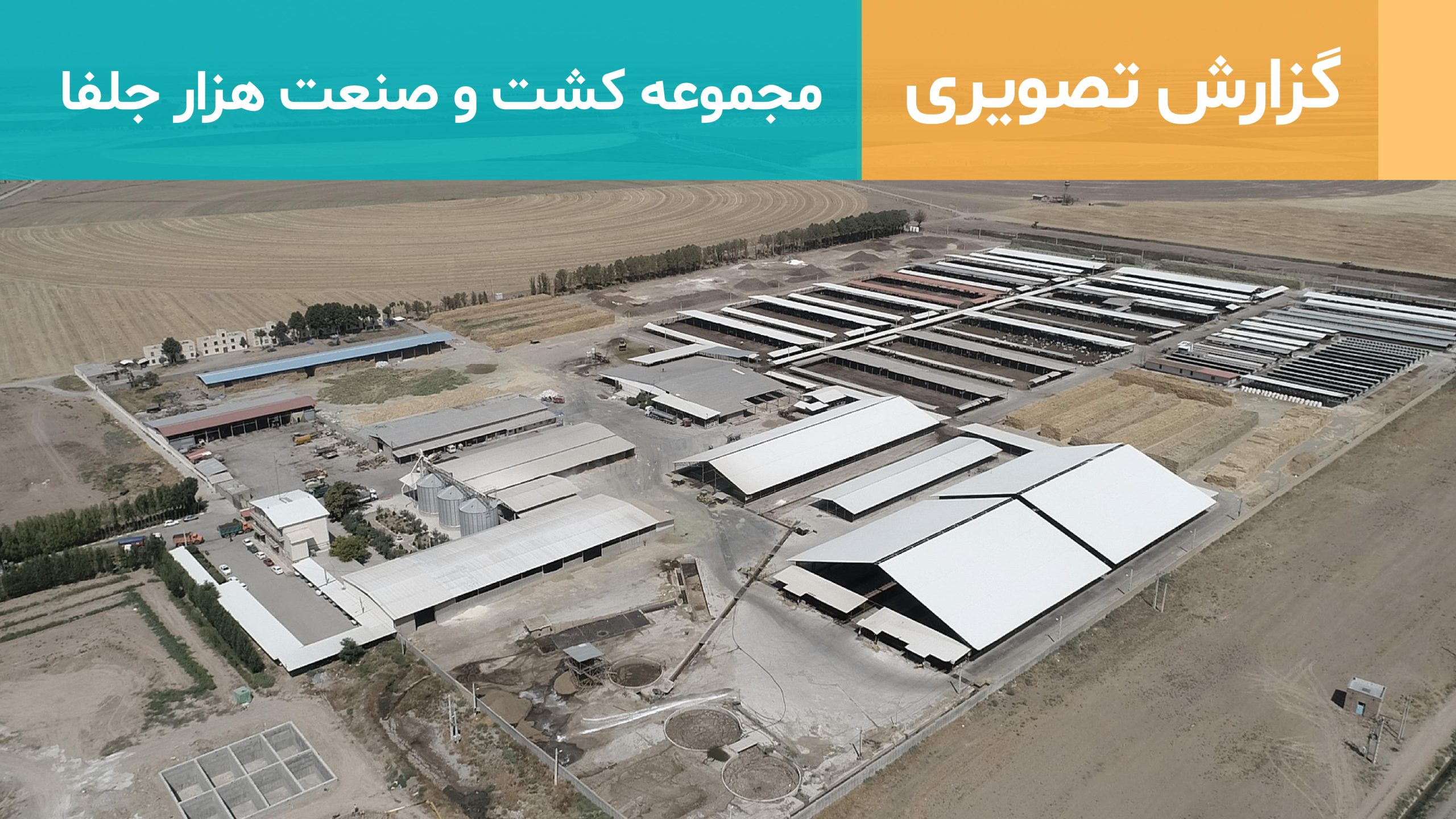 بازدید از کشت و صنعت هزار جلفا