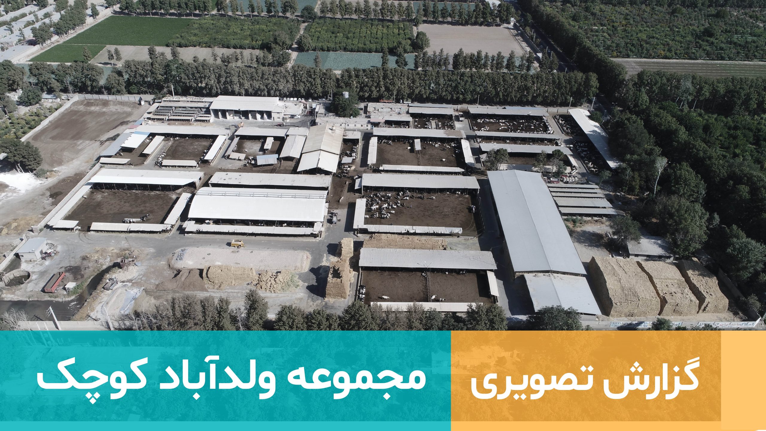 دامداری ولد آباد کوچک