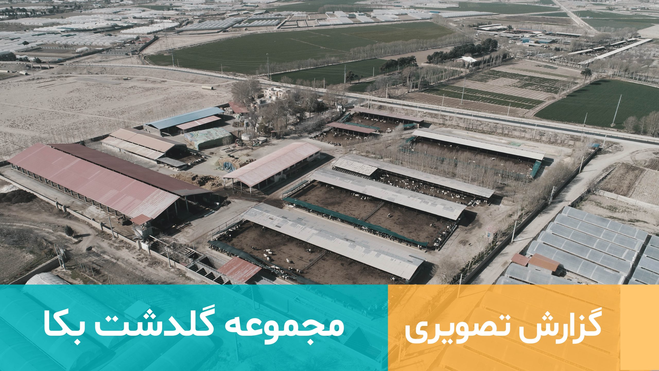 مجموعه کشت و صنعت گلدشت بکا