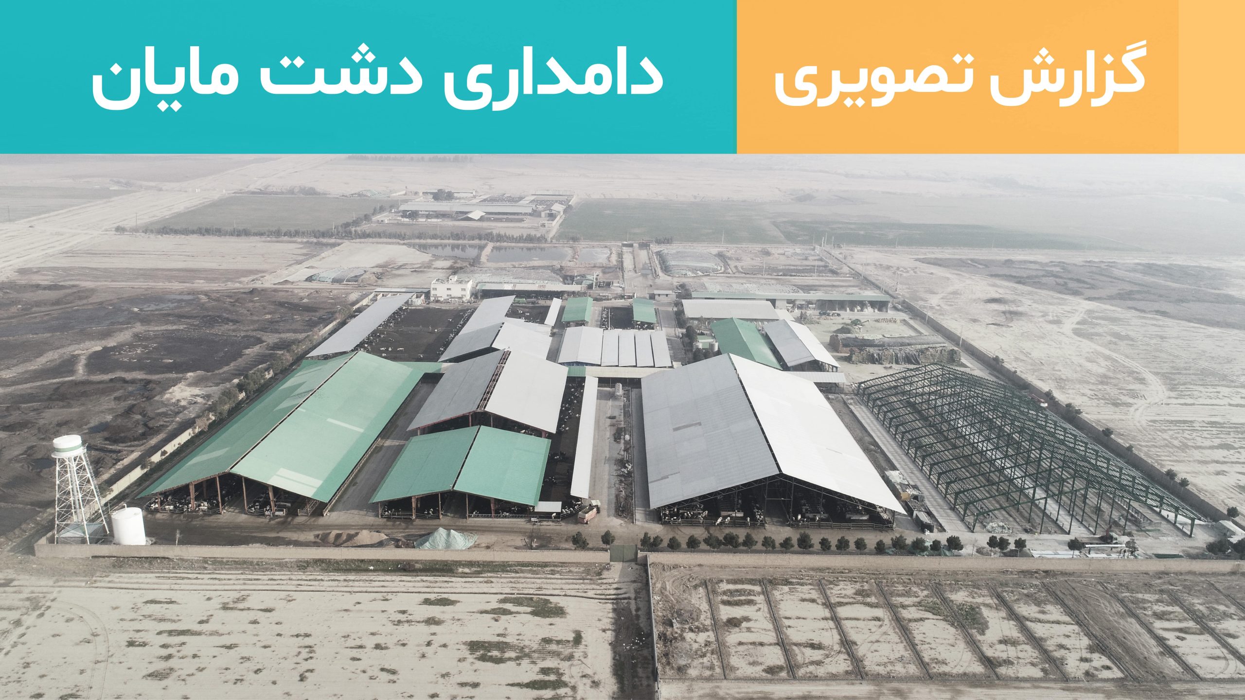 دامداری دشت مایان