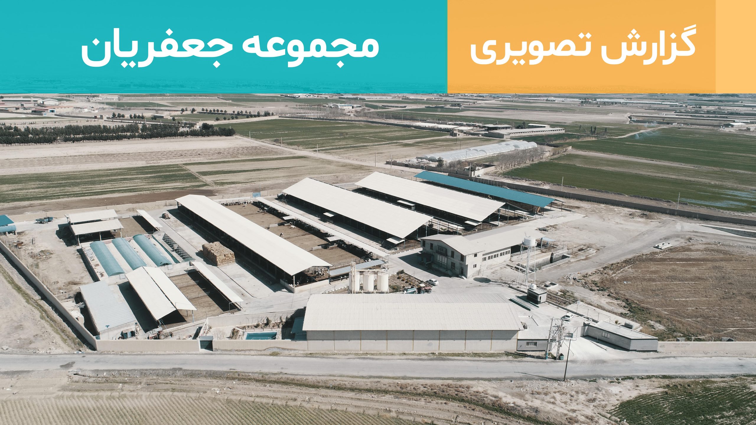 مجموعه کشت و صنعت جعفریان