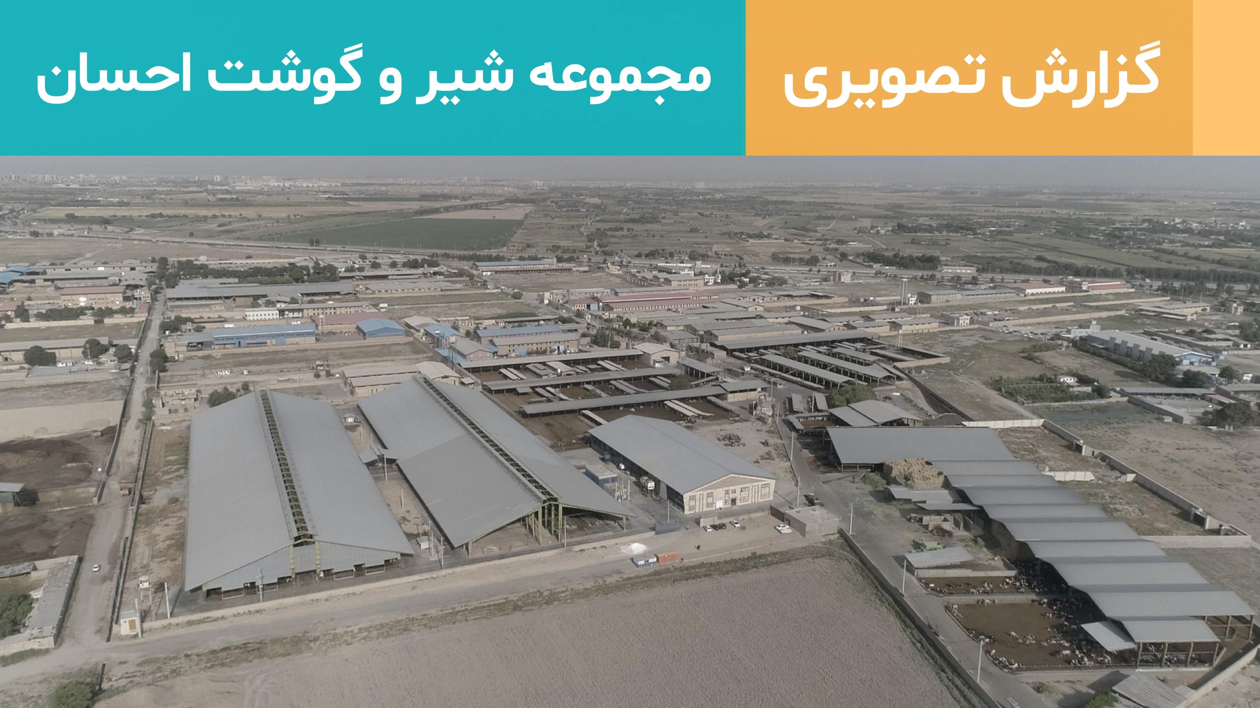 مجموعه شیر و گوشت احسان