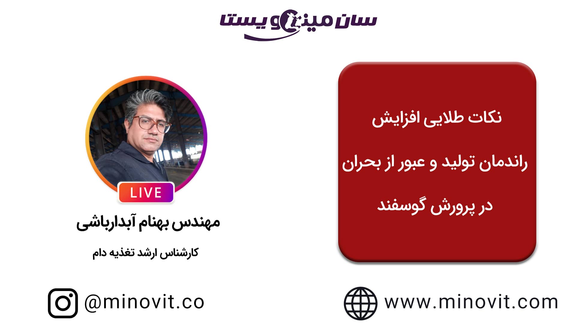 نکات طلایی افزایش راندمان تولید و عبور از بحران در پرورش گوسفند