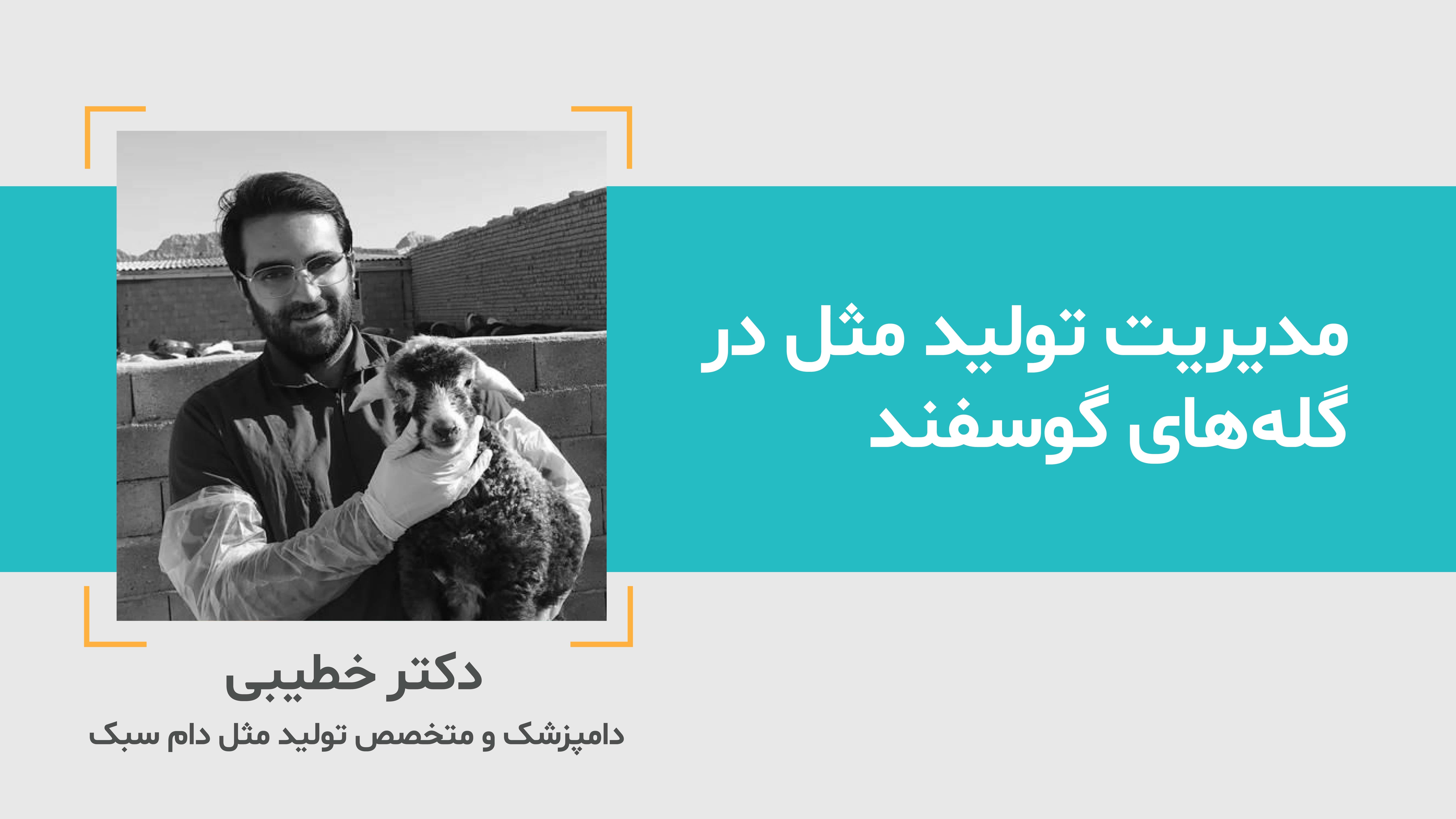 لایو آموزشی مدیریت تولید مثل در گله های گوسفند