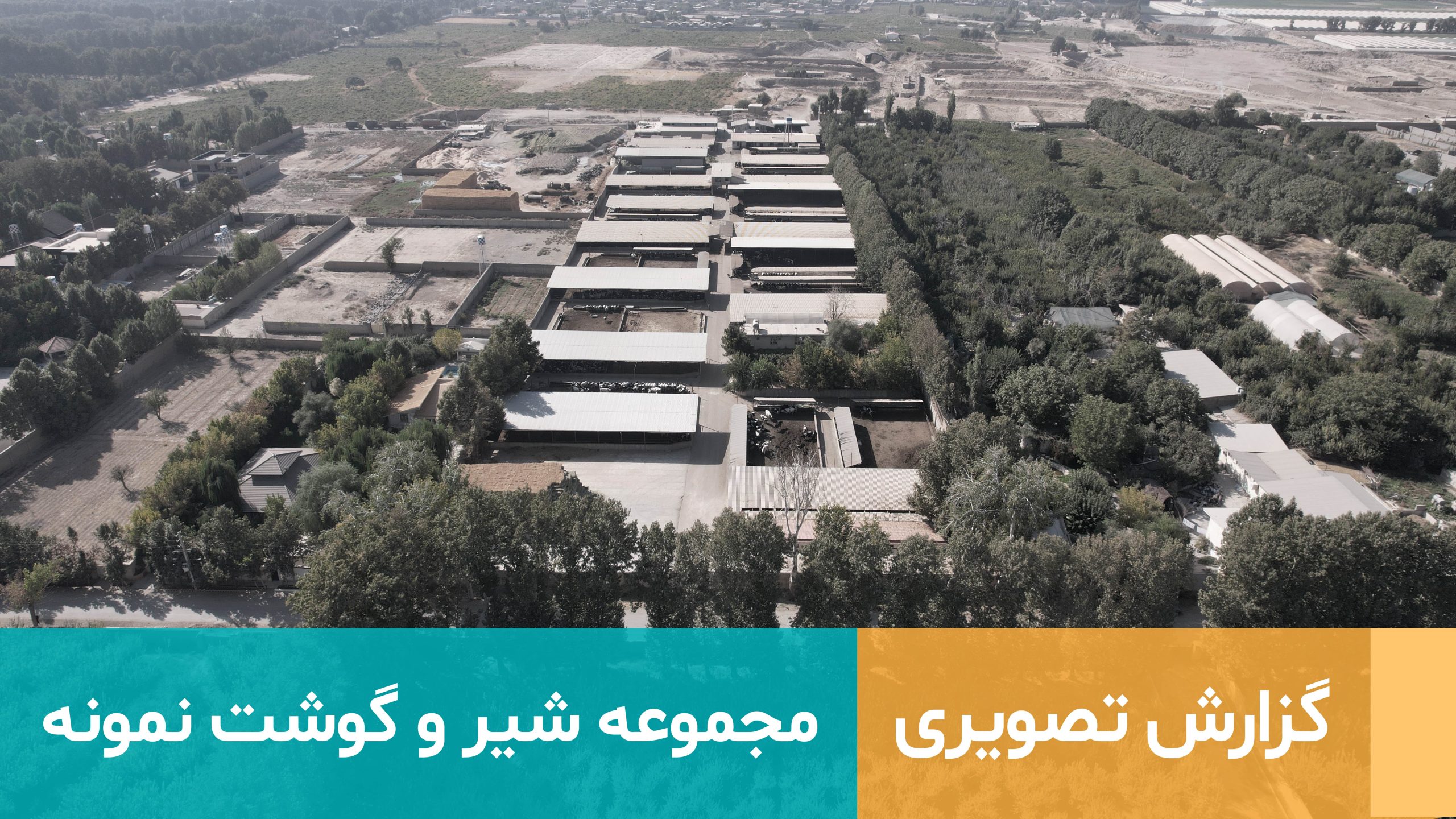 مجموعه شیر و گوشت نمونه