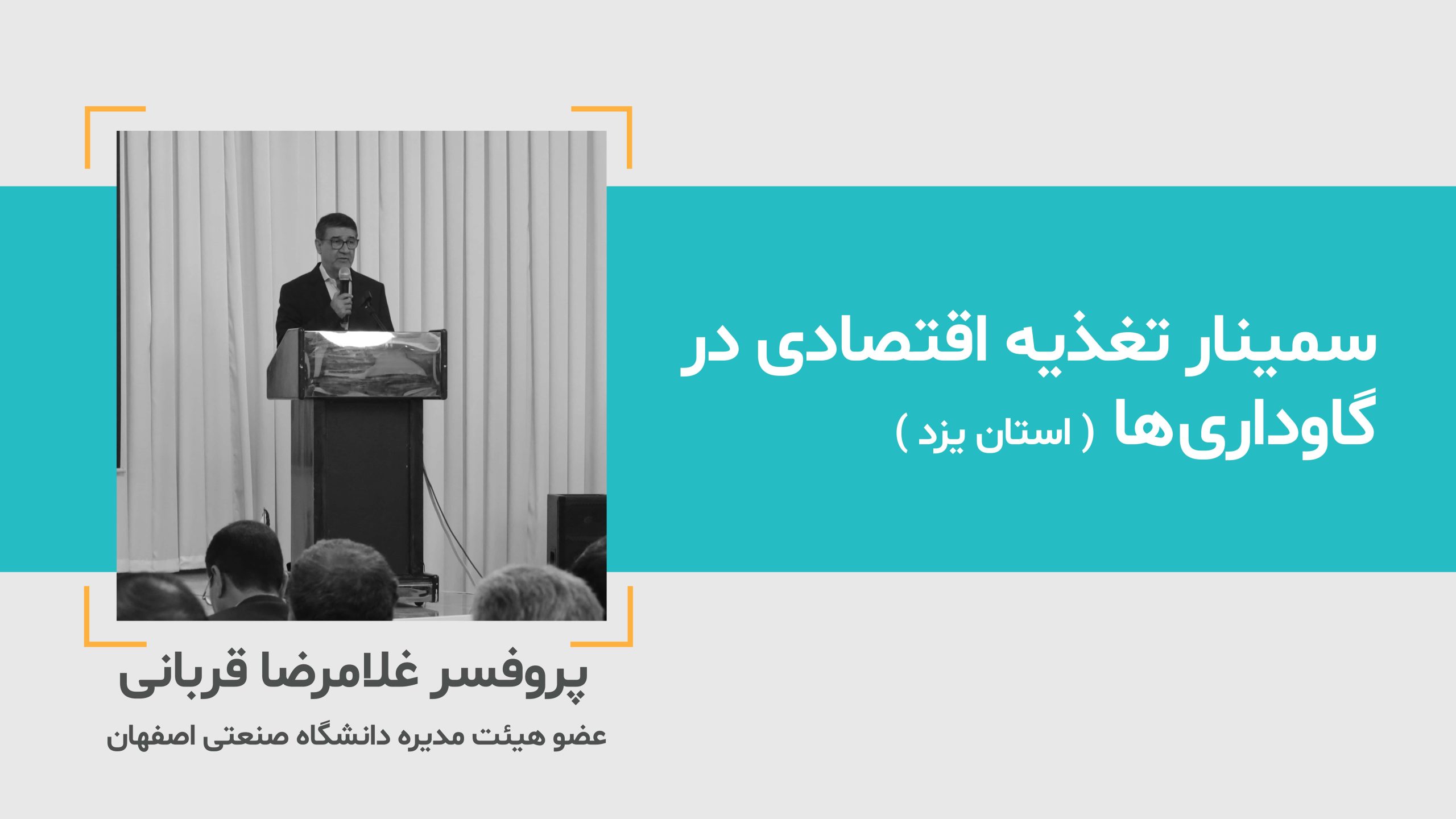 تغذیه اقتصادی در گاوداری ها