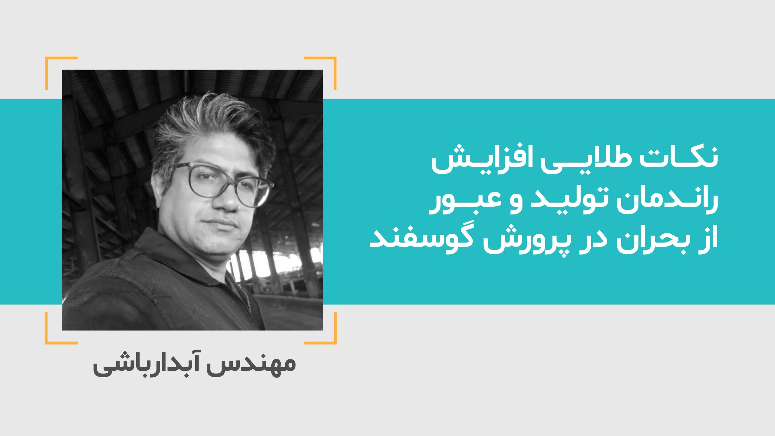نکات طلایی افزایش راندمان تولید و عبور از بحران در پرورش گوسفند