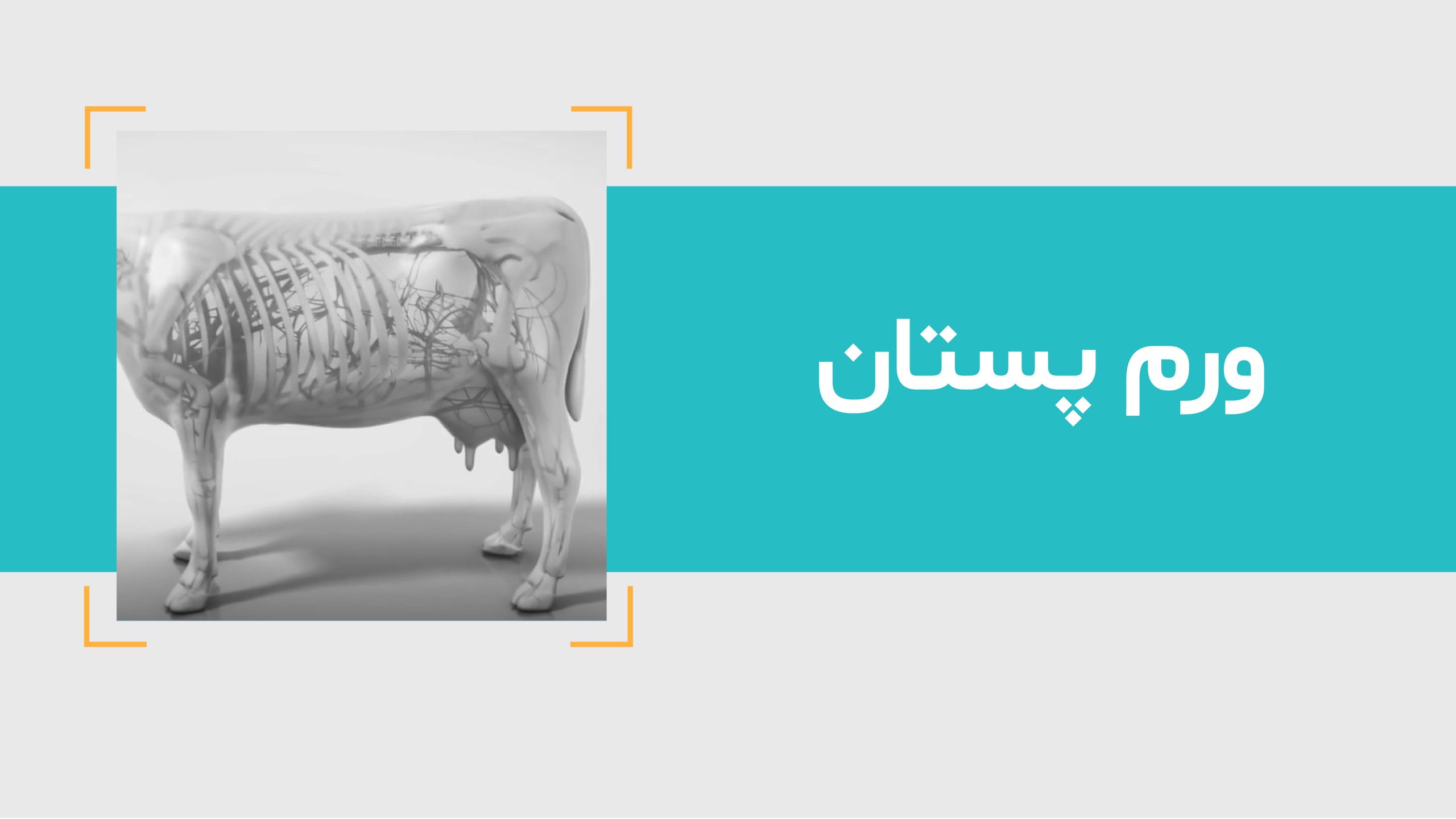 ورم پستان