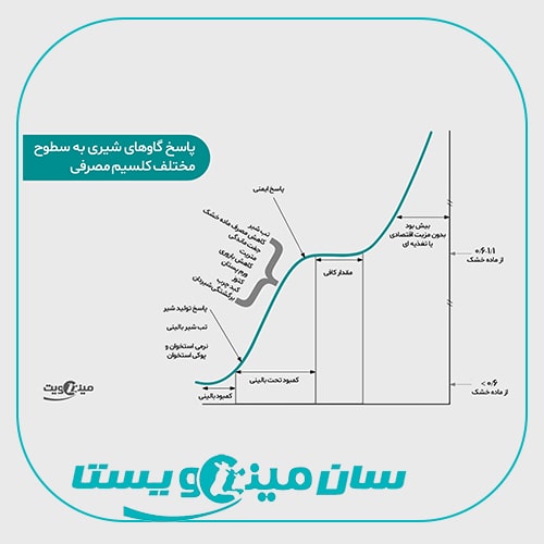 گاوها به چه مقدار کلسیم نیاز دارند