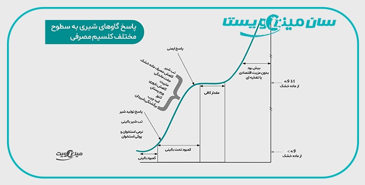 گاوها به چه مقدار کلسیم نیاز دارند