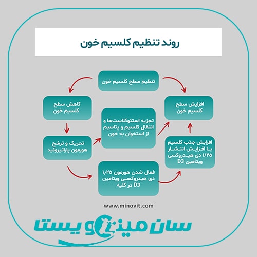 تب شیر در گاو