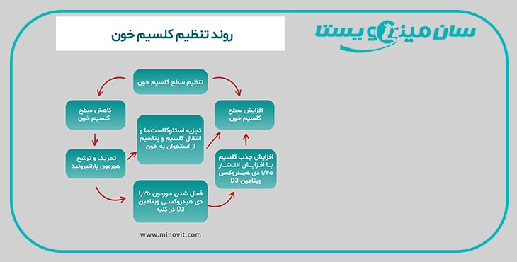 تب شیر در گاو