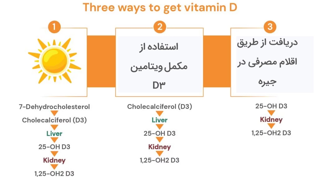 تاثیر ویتامین D۳ بر دام