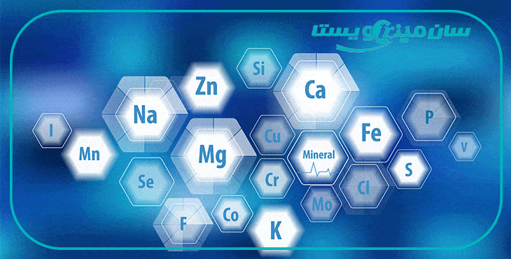 مواد معدنی در جیره گاو ها با تنظیم کارشناس جیره