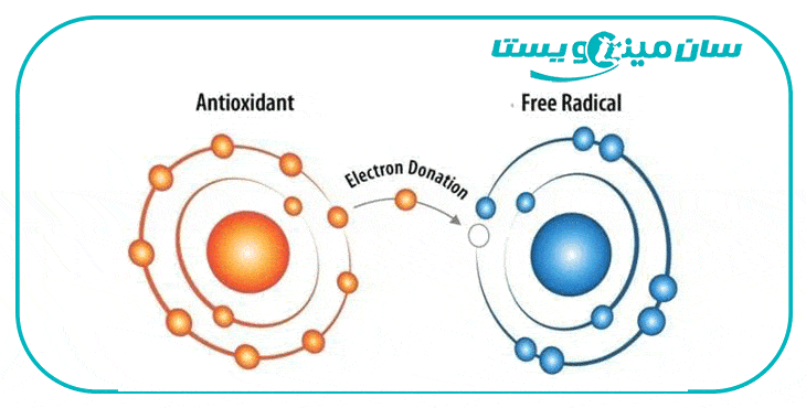 استرس های گاو و گوساله و اثر آنتی اکسیدان ها