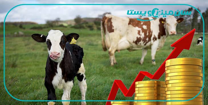 نکات کلیدی برای افزایش درآمد گله