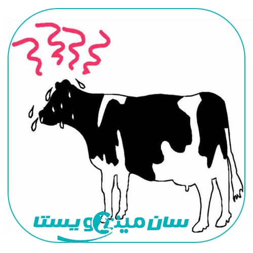 راهکارهای جلوگیری از استرس گرمایی در گاوهای شیری