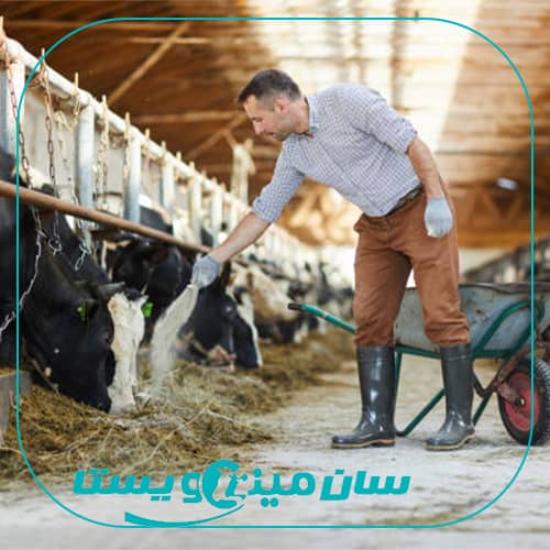 انتخاب نیروی انسانی مناسب