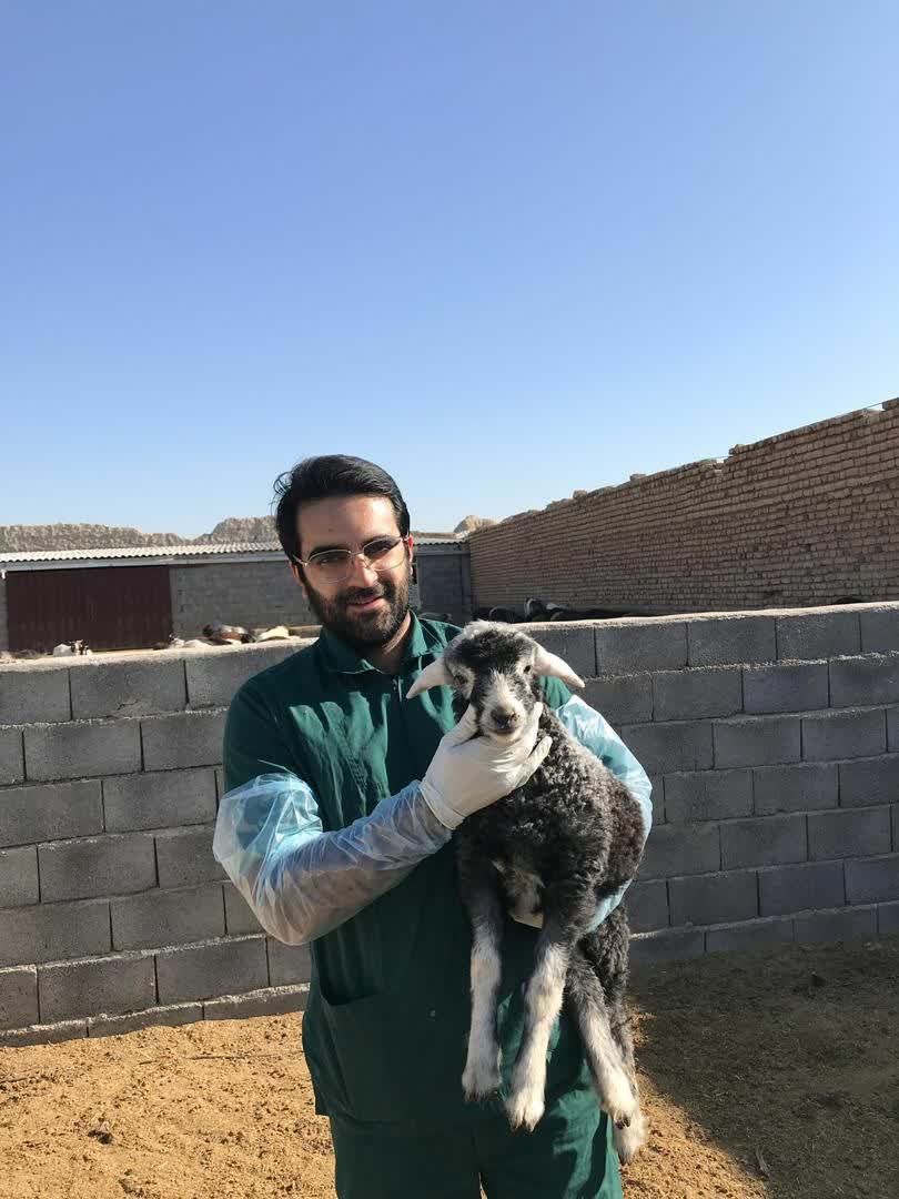 پرسش و پاسخ