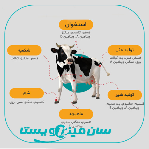 جدول راهنمای کامل علائم کمبود ویتامینها و مواد معدنی در گاو و گوسفند