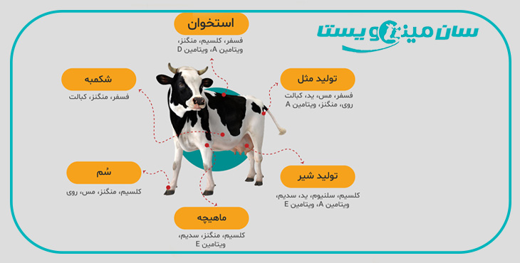 جدول راهنمای کامل علائم کمبود ویتامینها و مواد معدنی در گاو و گوسفند